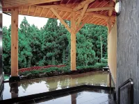 Oga Kanko Hotel - suối nước nóng