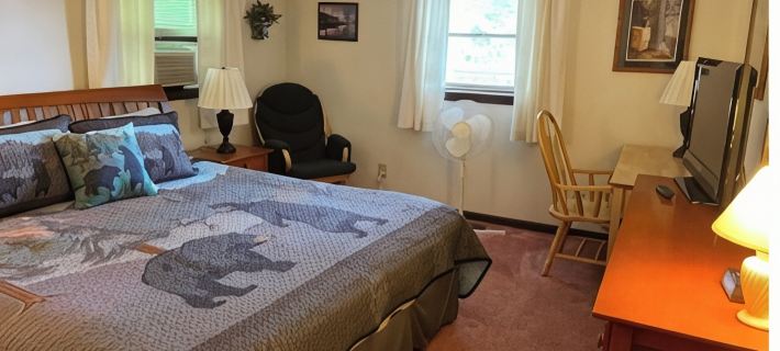 Waterfront property on pond with private dock . Hotels in Sullivan County