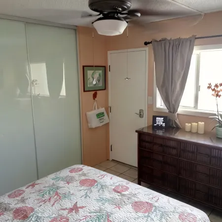Studio apt. with A/C, Fridge, Semi-Private pool in the Center of kihei