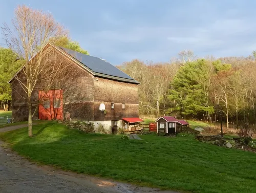 The Tree House at Underhill Hollow