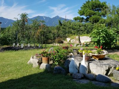 Goseong Pumpkin Vine Pension