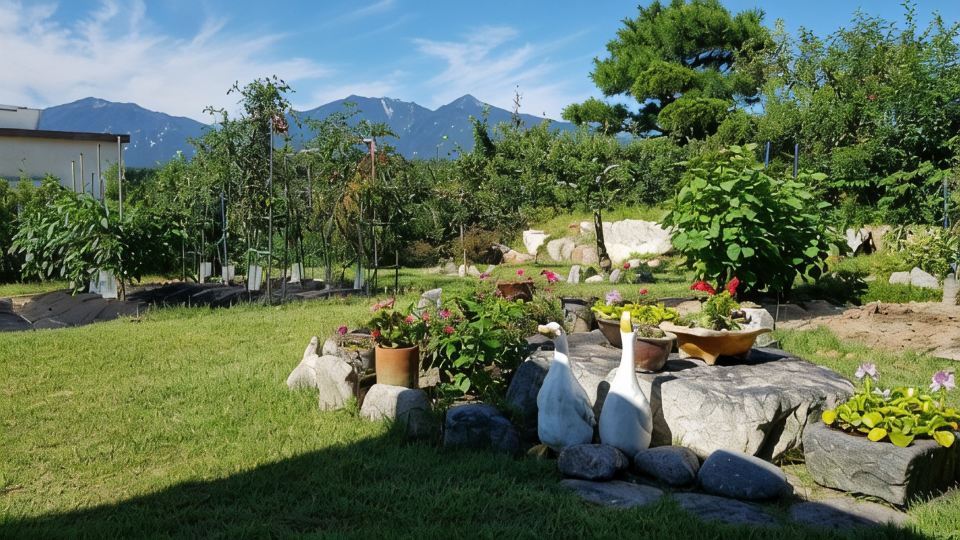 Goseong Pumpkin Vine Pension