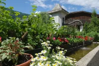 Residence Obermoarhof - Family Apartments with Pool & Playground - Wifi