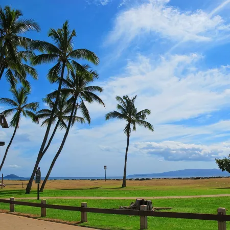 Completely remodeled! Walk to the beach! King bed!