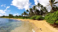Large Gated Oceanfront Estate ~ Secluded on a beach, safe all year TVNC-4185 - อ่างจากุชชี่