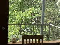 A quiet comfortable space in the trees close to all the attractions of Denmark - Wifi