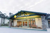 Quality Inn Half Moon Bay-Miramar Beach Các khách sạn ở Moss Beach