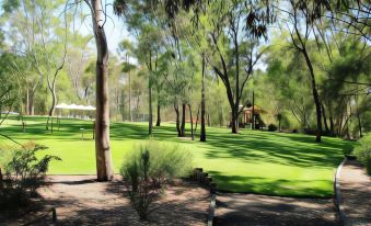 a lush green park with trees , grass , and a gazebo , providing a serene atmosphere for relaxation and leisure at A-Line Holiday Park