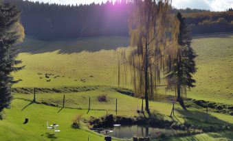 A Holiday Home for 2 Persons in a Deer Park