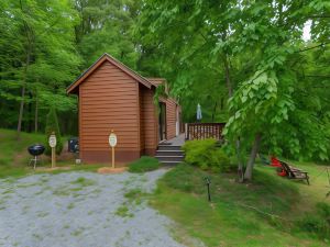 Tiny Balsam Cabin with Magnificent Views