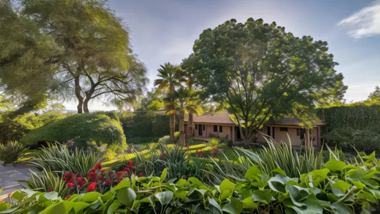 Casa Las Palmas & Suites, San Miguel de Allende