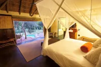 The Safari Lodge- Amakhala Game Reserve Hotels near Shamwari Private Game Reserve in the Eastern Cape