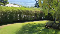 Le Betulle B&B Hôtels à : Mussolente