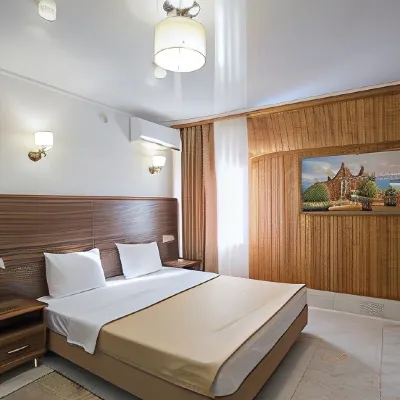 Hotel Samson Hotels in 