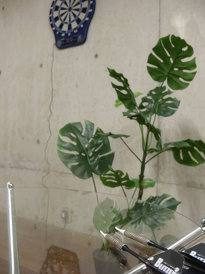 その他 高原の宿山の額の写真