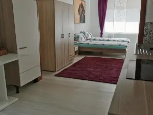 La Casa Suciu