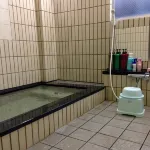 Hidetake Ryokan Hotels in Етідзен
