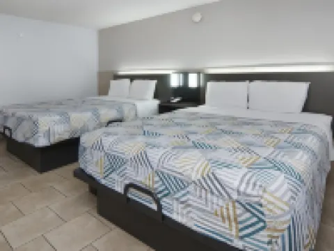 德克薩斯梅斯基特 - 鎮東 6 號汽車旅館 梅斯基特酒店