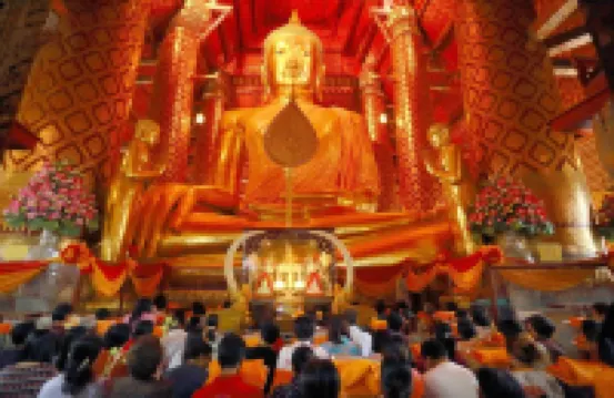 เอิร์ลลี่ เบิร์ด โฮสเทล อยุธยา