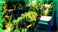 City Center Lodge - sarapan