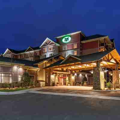 鴿子谷黑狐飯店，希爾頓啟繽精選 Hotel Exterior