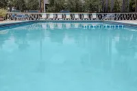 Knights Inn Hallandale