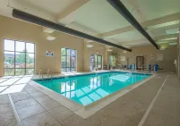 햄프턴 인 그린빌