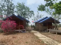 Moutain View Guest House