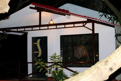 The Wilds Villa Gir Jungle Stay with Swimming Pool