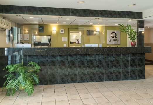 4. 퀄리티 인 & ..