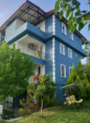 파라다이스 하우스