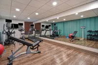 홀리데이 인 익스프레스 & 스위트 앨런타운 센 - 도르니빌