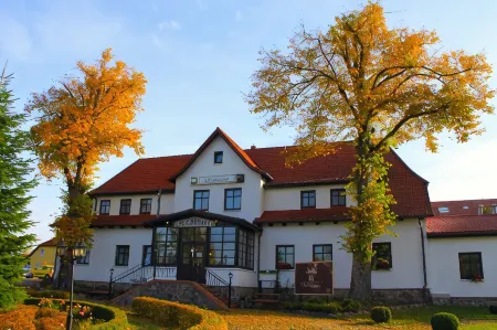 Land Gut Hotel Hermann Отели в г. Царневанц