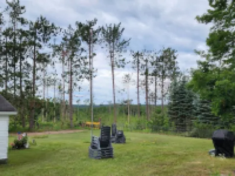 Cabin in Wooded Setting, Safe, Charming, Thumb Lake, Snowmobile, Icefish, Boyne