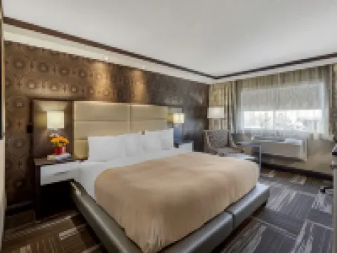 Best Western Plus Edmonton Airport Hotel Hotels in Leduc