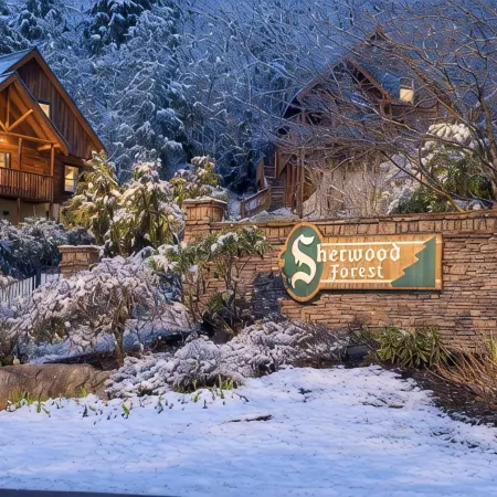 ♡♡Mtn View W/easy Access, Hot Tub, WiFi,  Smart TV & 10 Minutes to Attractions♡♡
