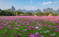 大新那依家民宿（峒那嶼灣景區店） - 山景