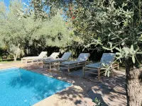 Villa Safran Ailleurs sous les Oliviers 15 minutes from the medina in Marrakech - Villas