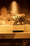 Boss1368 Cultural Hotel (Yongxing Plaza) - parking