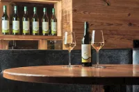 Aspen Alpin Lifestyle Hotel - bar
