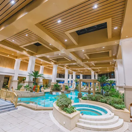 Qihe Peacock King Hot Spring Hotel
