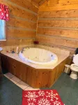 Cozy cabin in lovely Seneca Rocks WV with WiFi, smart TVs and jucuzzi tub