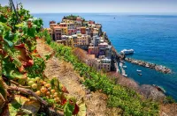 Il Sogno di Manarola by The First - Pet friendly