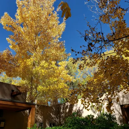 Unwind in solitude, bask in relaxation, enjoy convenience — near Canyon Road