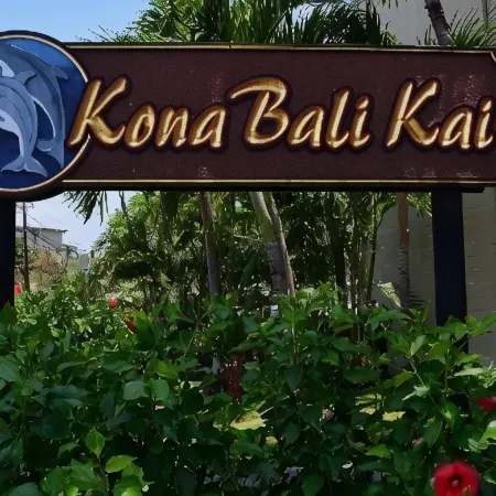 Direct Oceanfront Condo! Sea Turtles & Beautiful Sunsets from the Lanai