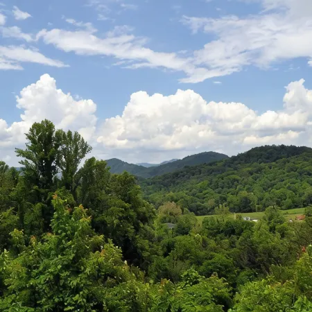 Deer Country Vacation Cabins #1 - Long Range View, Dogs Friendly