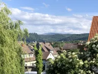 Cozy vacation apartment with a view of the Harz Mountains, near the center of Bad Harzburg - Kitchens