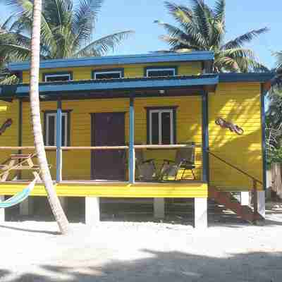 Gumbo Limbo Art Cabana - Stunning Peaceful Cabana, Steps From Ocean, Free Bikes Hotel Exterior