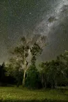 Glenview Cottage   Stanthorpe - 3-Star