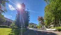 Aldine Simpson Suite SPACIOUS updated 1-bdrm w/lake view in heart of Chautauqua! - Homestays